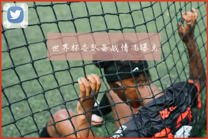 世界杯各队备战情况曝光