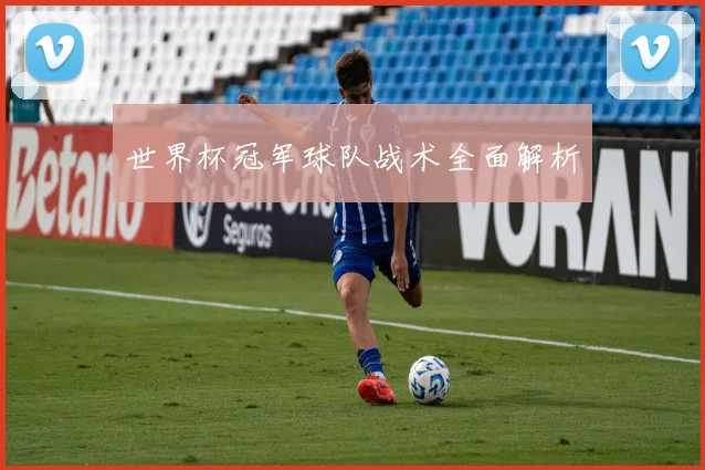 世界杯冠军球队战术全面解析